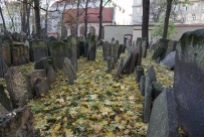 old jewish cemetery. prague, czech republic. november 2018.